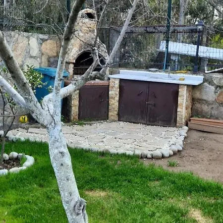 Nature House With Garden In *
