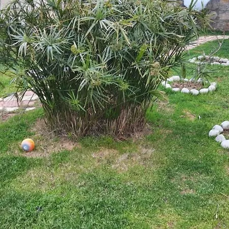 Nature House With Garden In